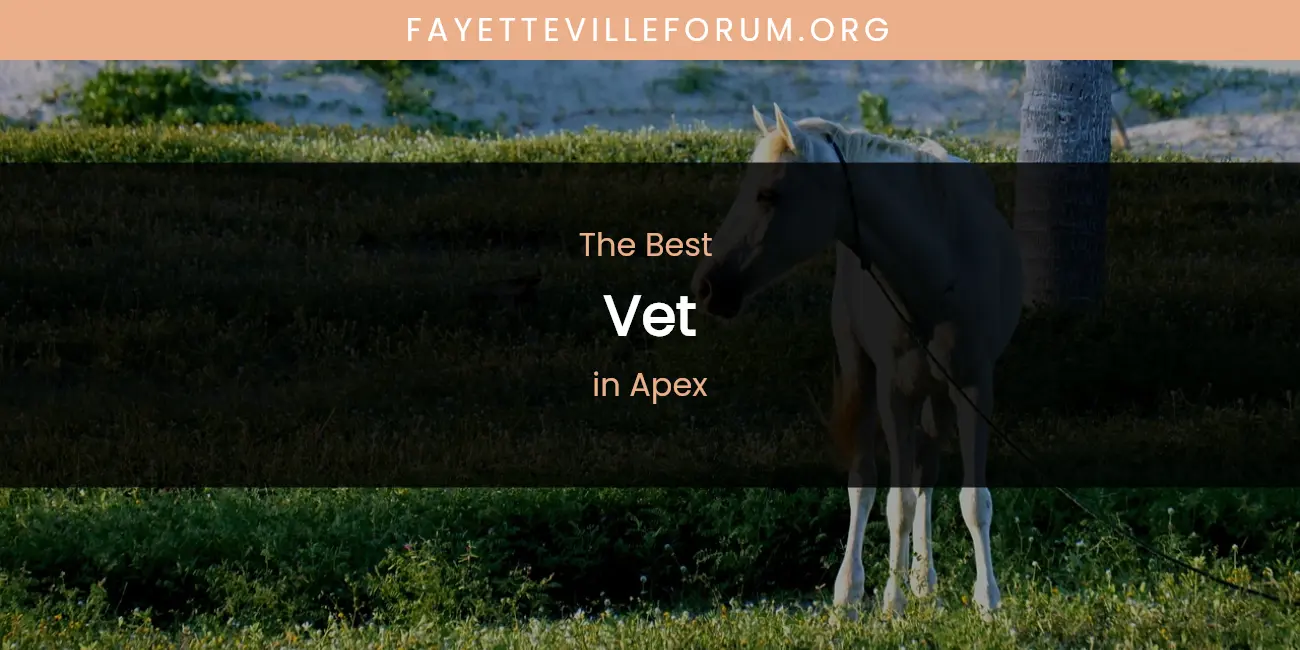 The Absolute Best Vet in Apex featured